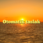 Yüksekte Çalışma Ekipmanları: Propazar’ın Profesyonel Yaklaşımı